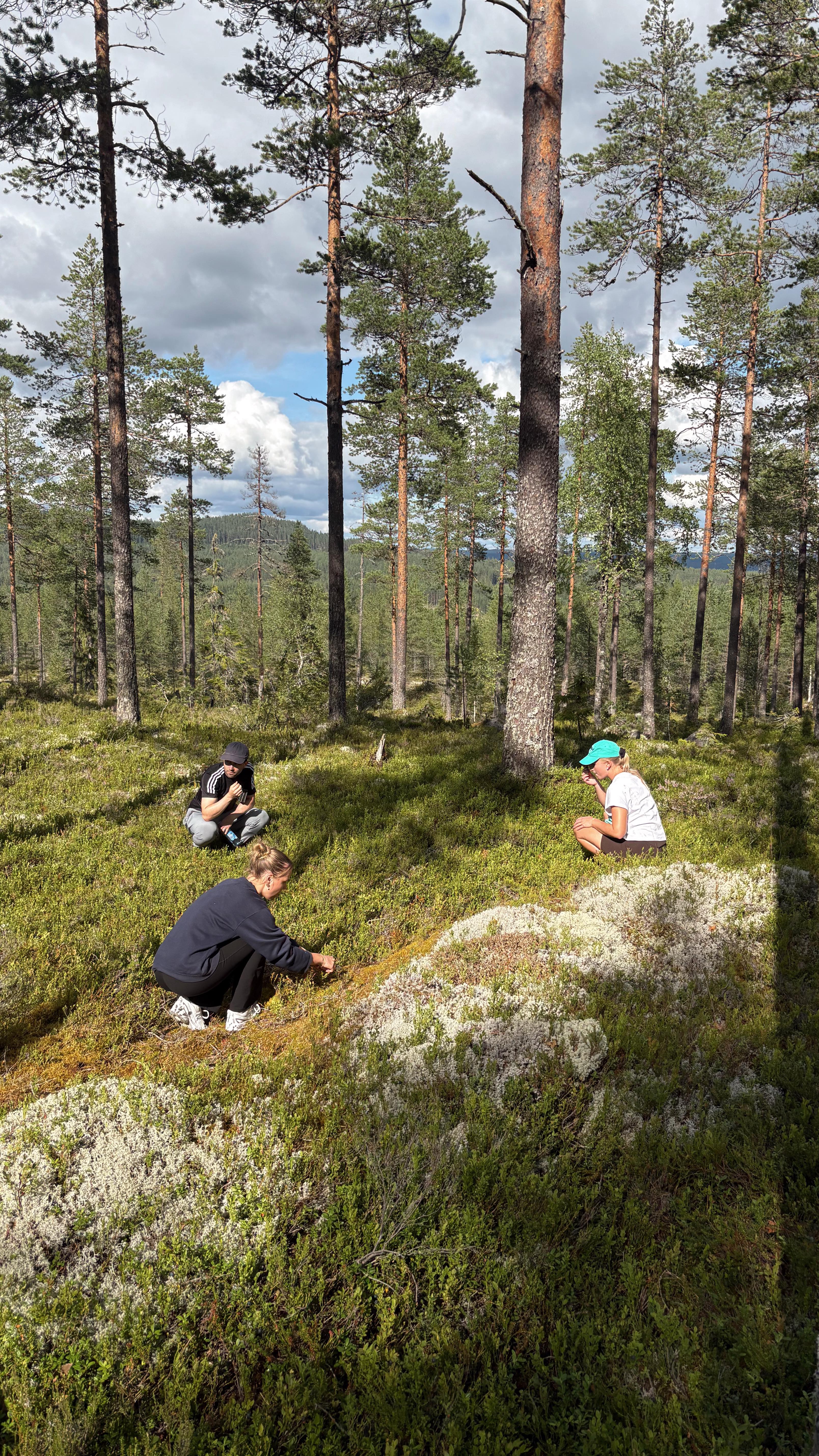 Instagram post by @itsshaylajay for Contiki. Caption reads: more special @contiki memories to add to the bank!....