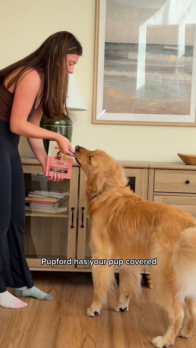Instagram post by @moosethatgolden_ for Pupford. Caption reads: [...] puppy paws to big grown-up zoomies 🥹🐾....