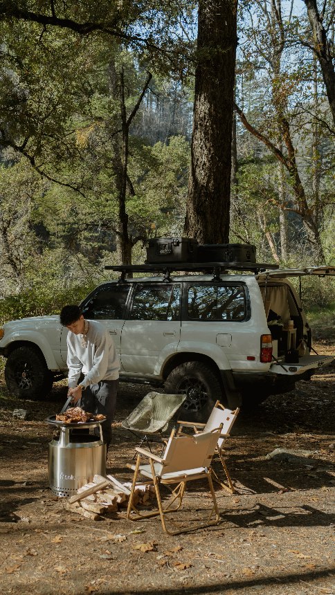 Instagram post by @weylie for The Farmer's Dog. Caption reads: We brought the dogs camping to experience fall....
