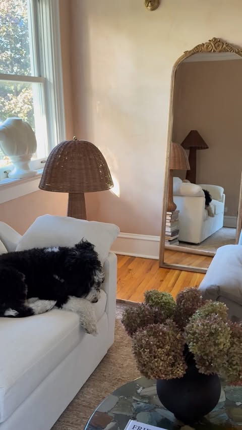 Instagram post by @cassandranoelhome for Lovesac. Caption reads: [...] and Daphne loves it even more 🥰 my @lovesac....