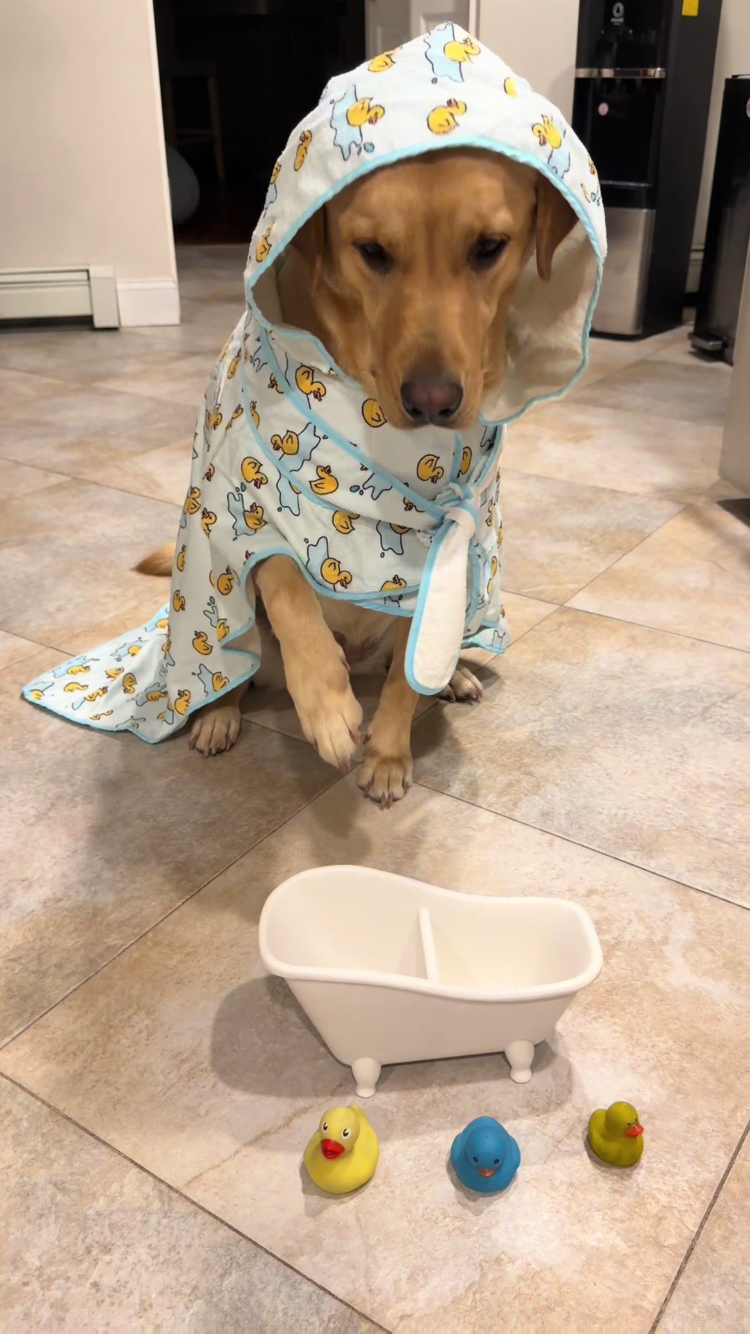 TikTok post by @ellie_thelab for ShopHDE. Caption reads: [...] This helps so much after bah time. @ShopHDE....