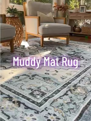 TikTok post by @kristendisnc for Muddy Mat. Caption reads: [...] every room in your house pet friendly!....