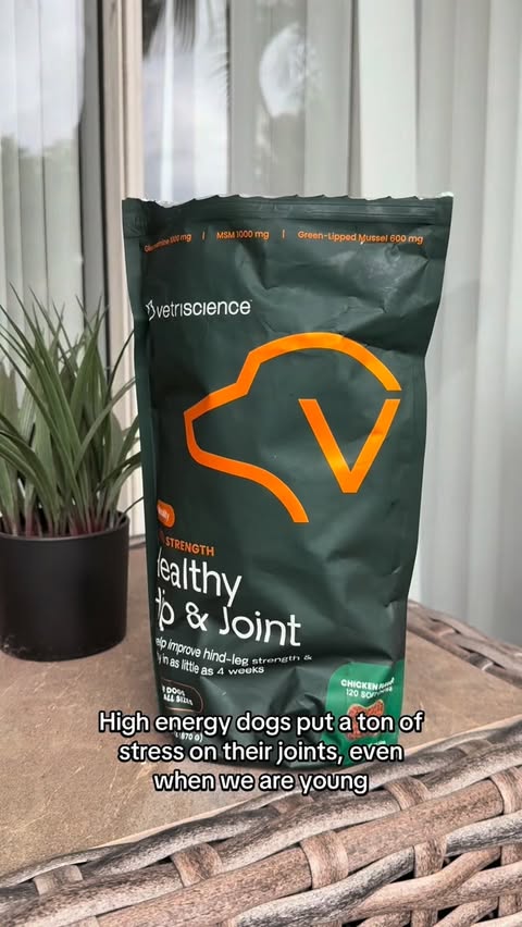 Instagram post by @reddentherescuemal for VetriScience. Caption reads: [...] neither should their joint support.....