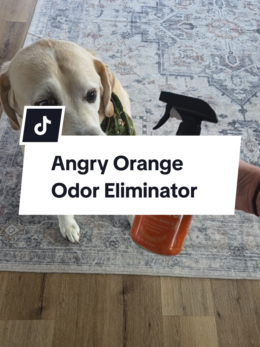 TikTok post by @akerns_yo for Angry Orange. Caption reads: [...] poop and just everday dog stank. @Angry....