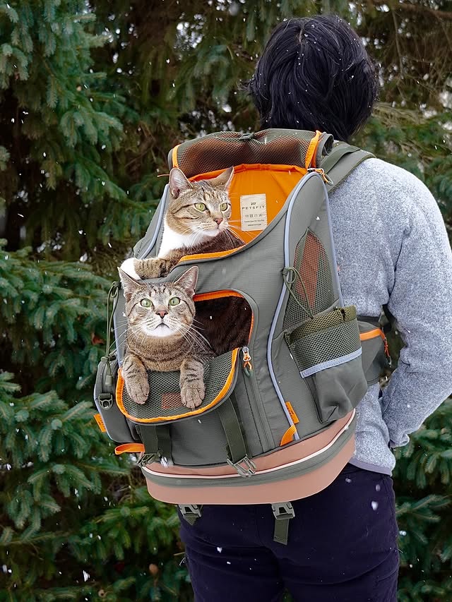 Instagram post by @meeloandmina for Petsfit. Caption reads: [...] the winter wonderland in our new @petsfit.us....