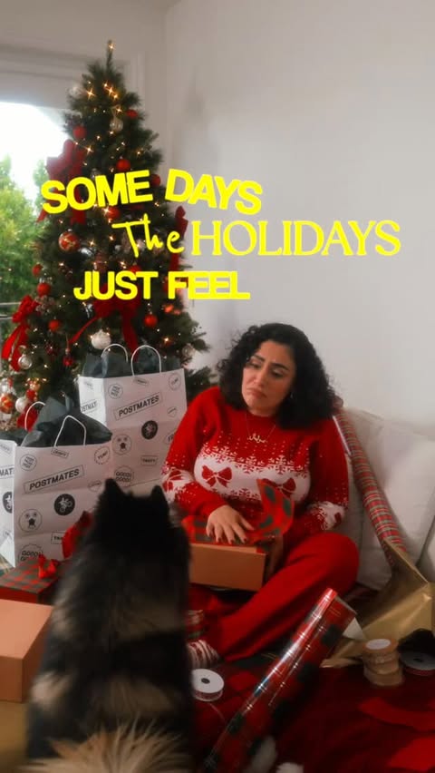 Instagram post by @solsnack for Postmates. Caption reads: #PostmatesPartner The Holideals on the @postmates....