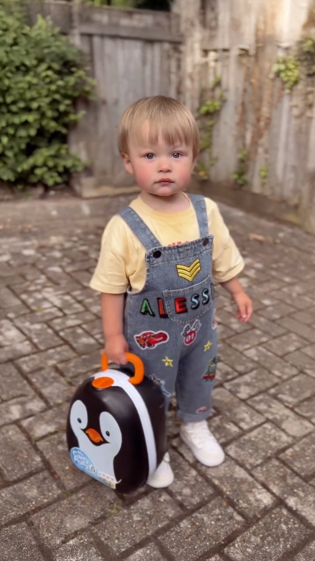 Instagram post by @alessioelariaandmama for My Carry Potty. Caption reads: we were kindly gifted the @mycarrypotty 🐧....