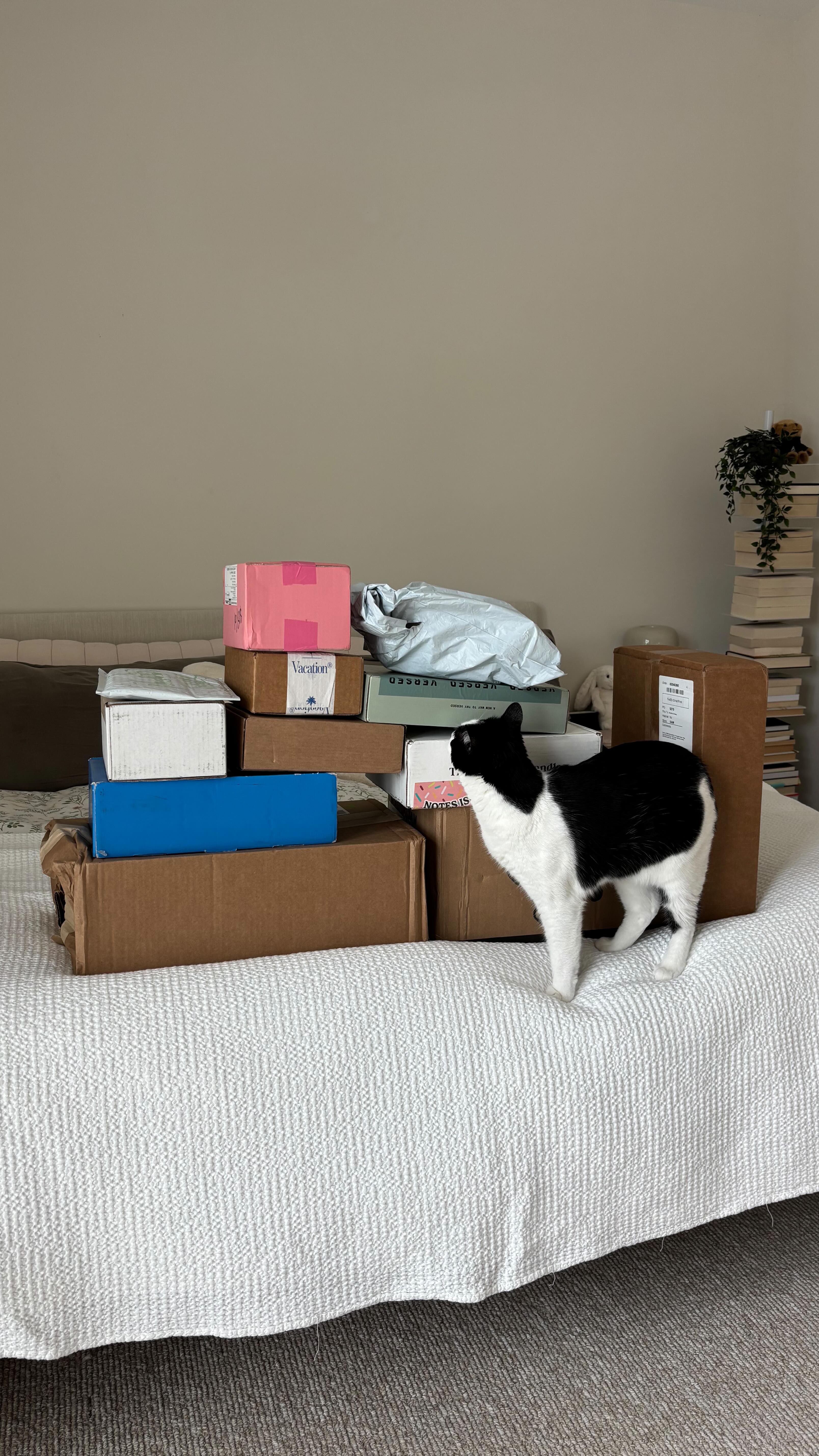 Instagram post by @emeline.chang for LoopyCases. Caption reads: Let’s unbox some PR packages ~ I love watching....