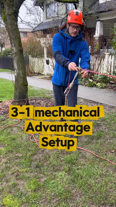 Instagram post by @climbingarborist_com for Jobber. Caption reads: [...] want to level up, make sure you try out....