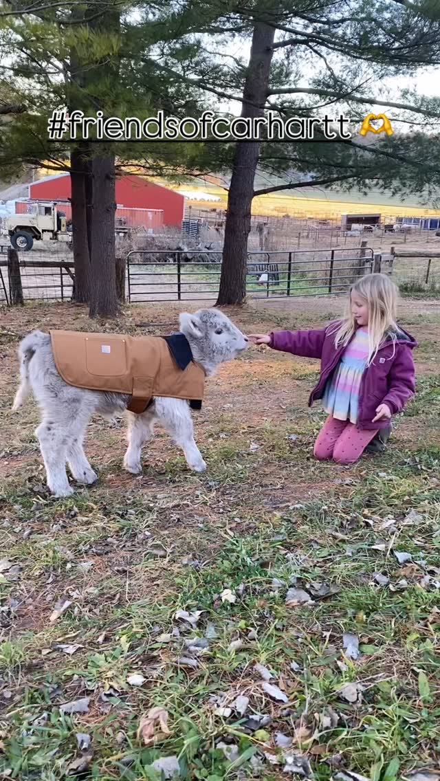 Instagram post by @unconventional_acres for Carhartt. Caption reads: we got COLD here guys!!! 🧊 

after a VERY mild....