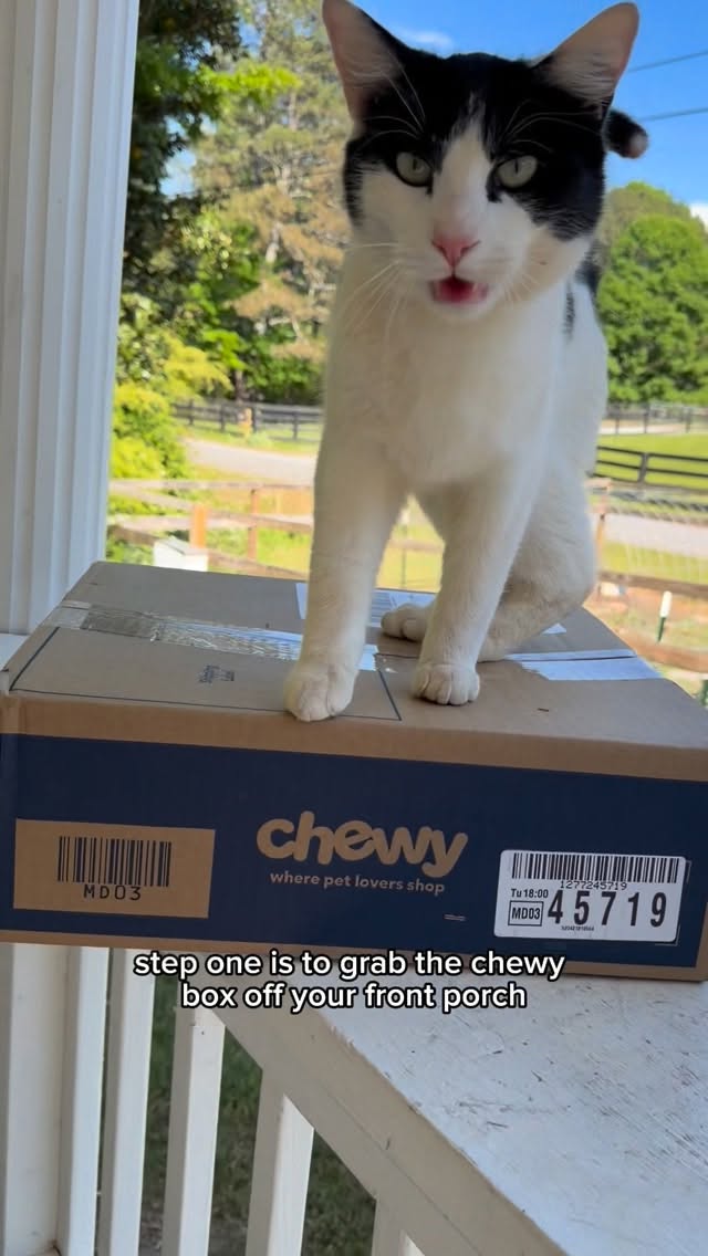 Instagram post by @bandrhomestead for Chewy. Caption reads: Being a #chewypartner helps me spoil my baby....