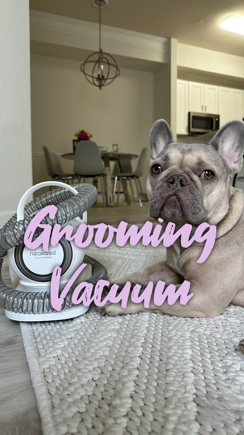 Instagram post by @daria.and.zoe for Neakasa. Caption reads: When the fur tumbleweeds start rolling through the....