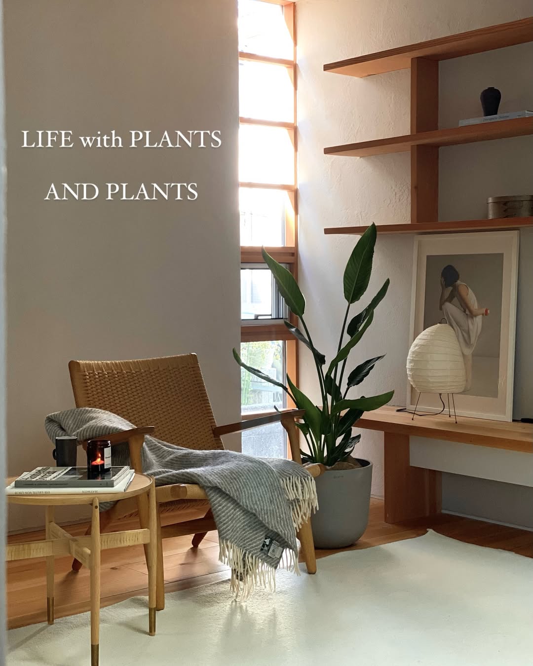 Instagram post by @_____promenade for AND PLANTS. Caption reads: .
.
@andplants.jp....