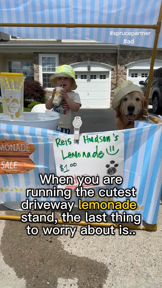 Instagram post by @hudsonbegood for The Dog Agency. Caption reads: #ad Thanks to @justspruceit , Hudson and his....