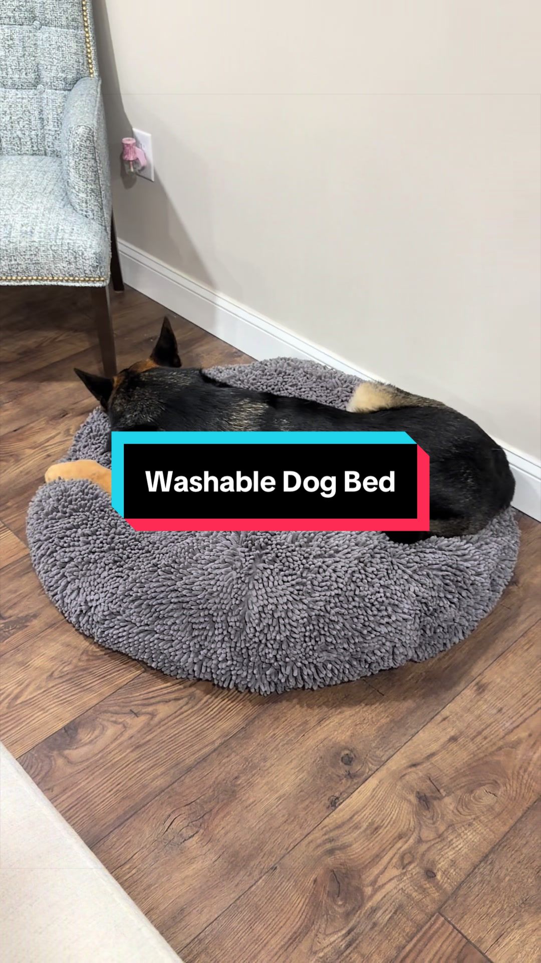 TikTok post by @kaitlyn_447 for Muddy Mat. Caption reads: #dogbed @Muddy Mat.