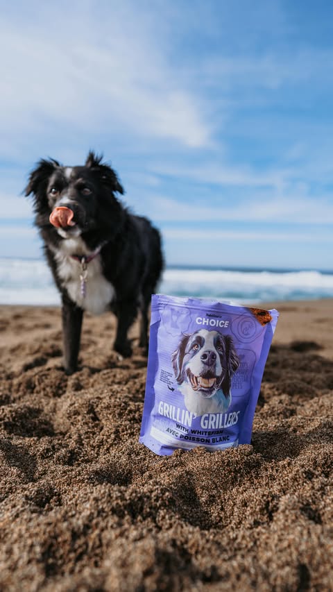 Instagram post by @beauandraven for NutriSource Pet Foods. Caption reads: [...] treat to help them win the gold.....