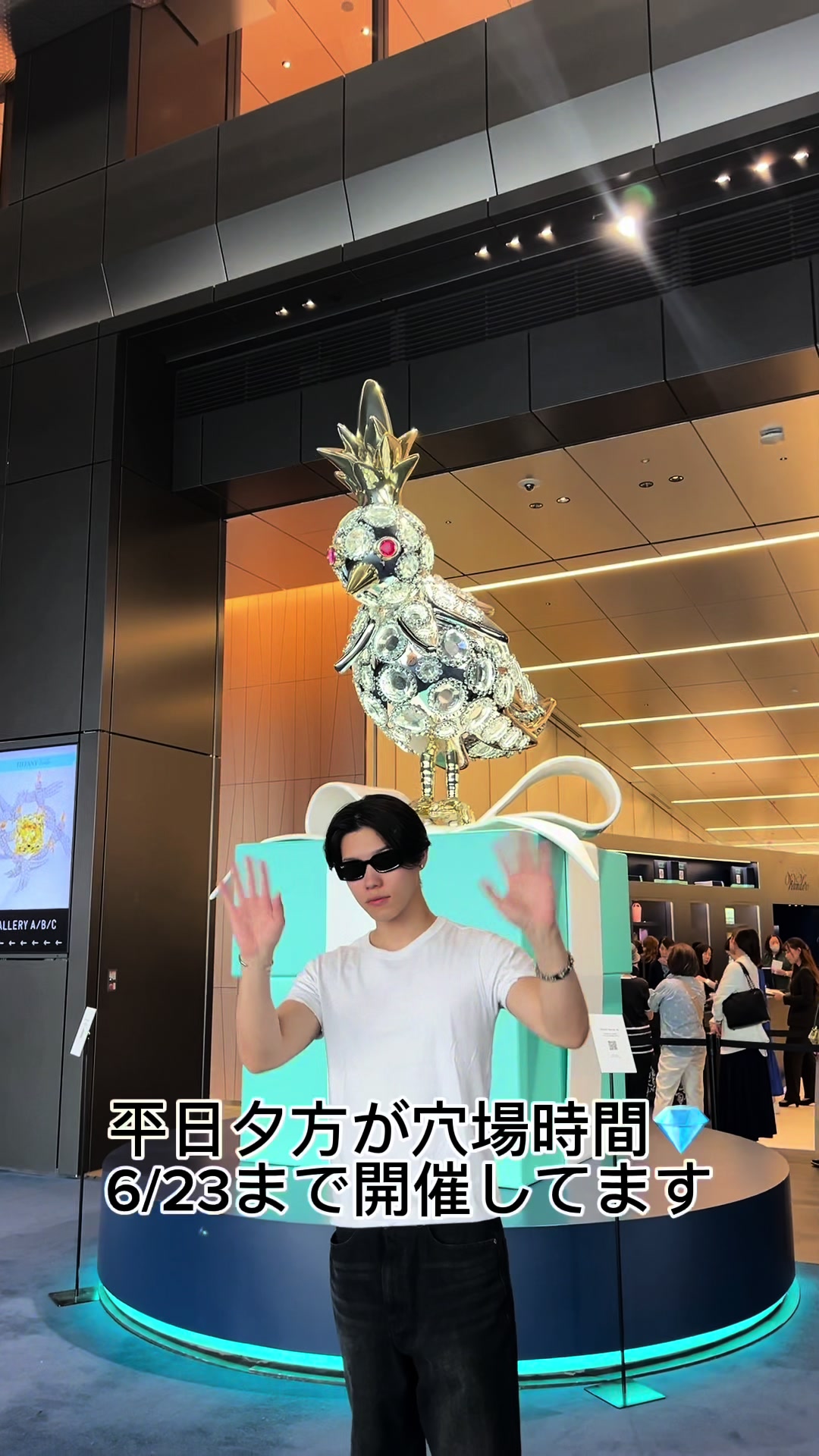 TikTok post by @shoma81081 for Tiffany & Co.. Caption reads: Tiffany wonder Tokyo🇯🇵....