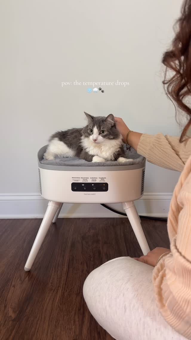 Instagram post by @ashali123_ for Homerunpet. Caption reads: Just in time for Christmas!....