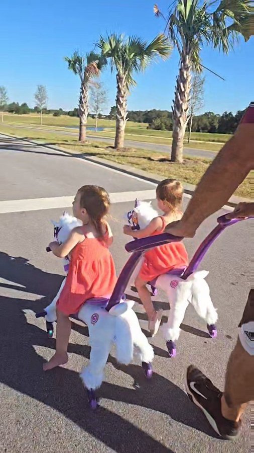 Instagram post by @the_garnertwins for Power Pony. Caption reads: [...] #identicaltwins #twinsofinstagram....