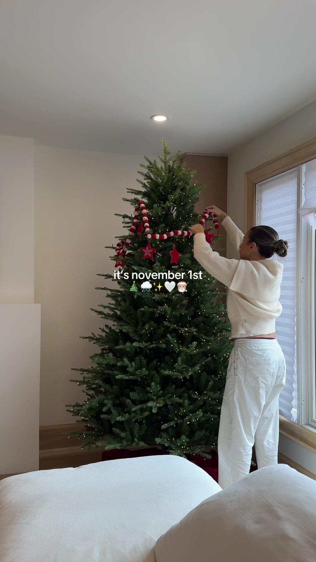 TikTok post by @chiaraplastina for HomeSense. Caption reads: happy november 1st 🎅🏼🤍 our very first christmas....