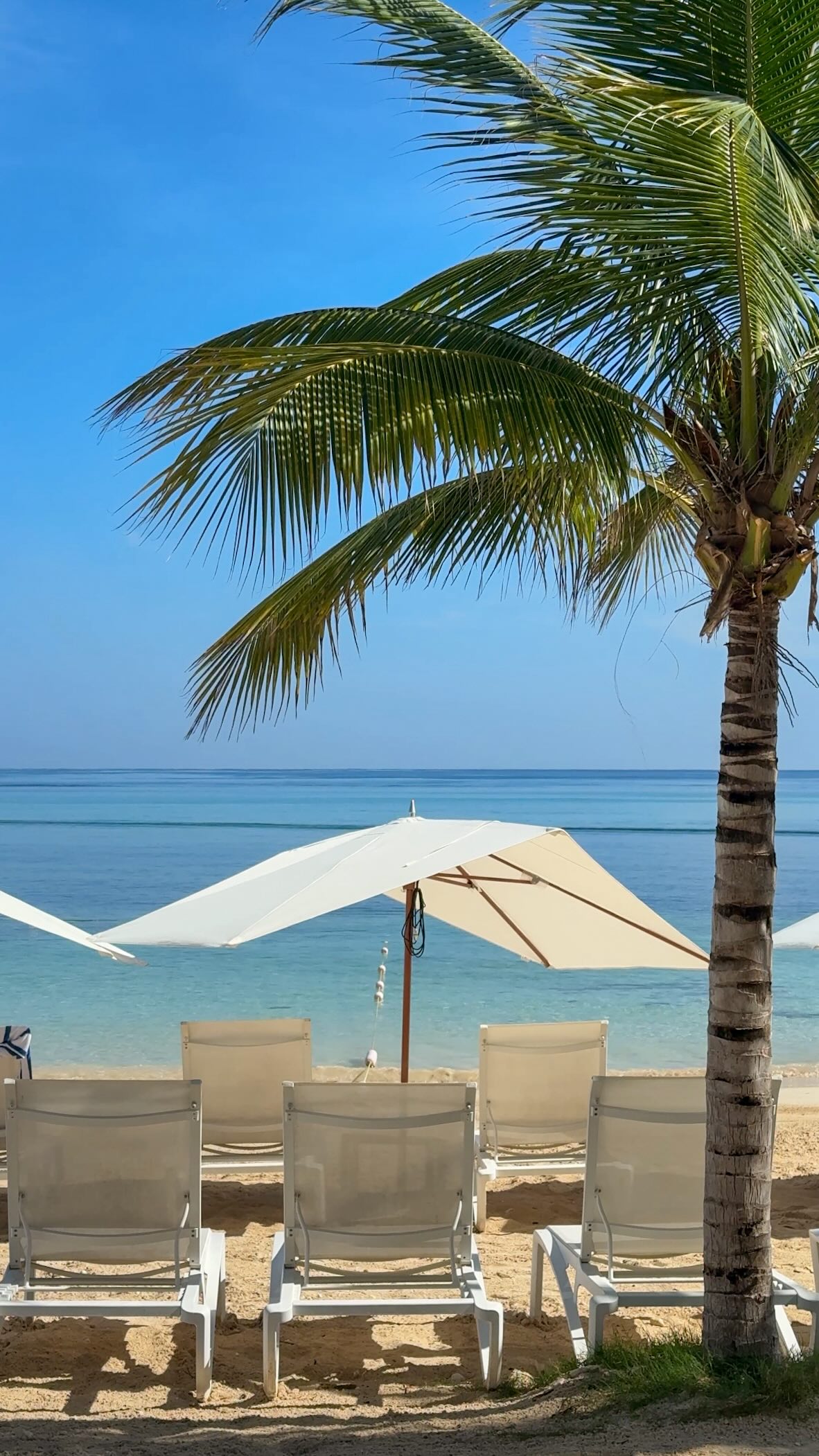 Instagram post by an influencer for Sandals Resorts. Caption reads: [...] Life is pretty good at @sandalsresorts 🌴🍹....