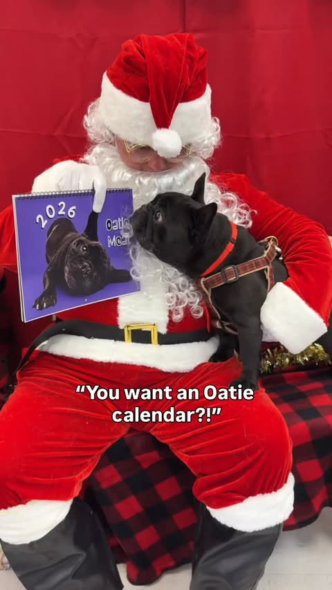 Instagram post by @oatiemeal for Petco. Caption reads: I want all the bois & gworls to get an Oatie....