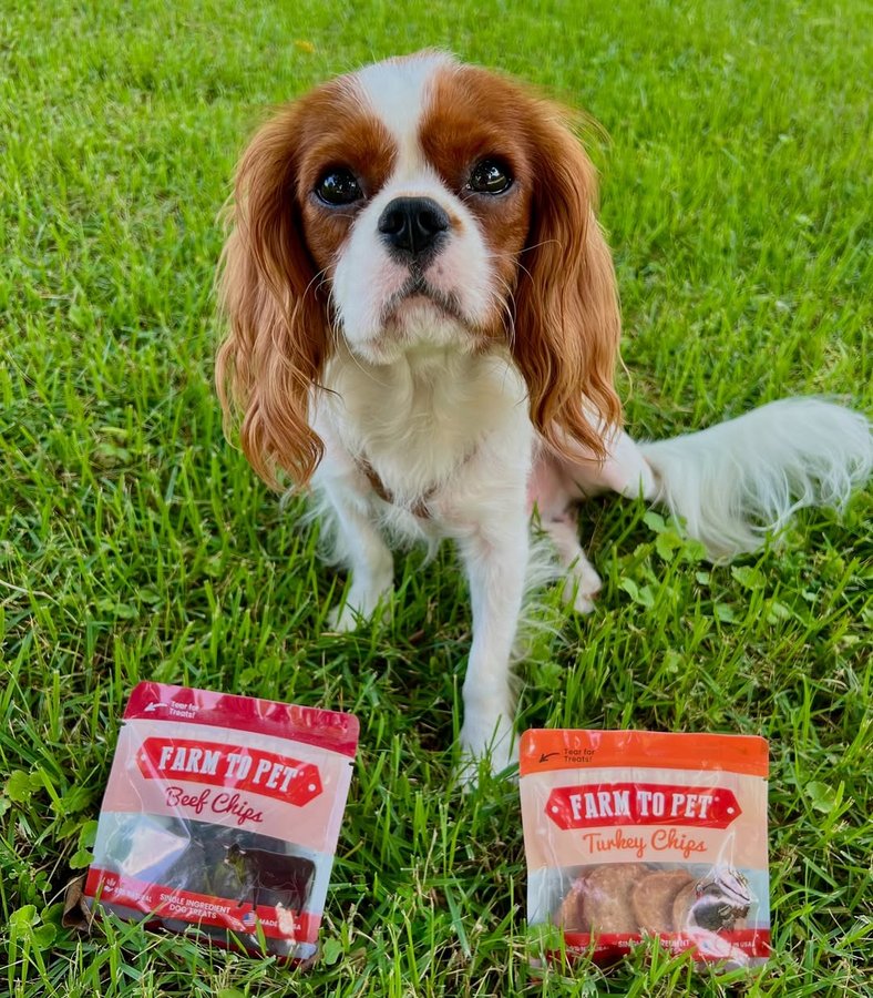 Instagram post by @tucker_thecutecav for Farm to Pet. Caption reads: [...] officially be a Treat Ambassador for....