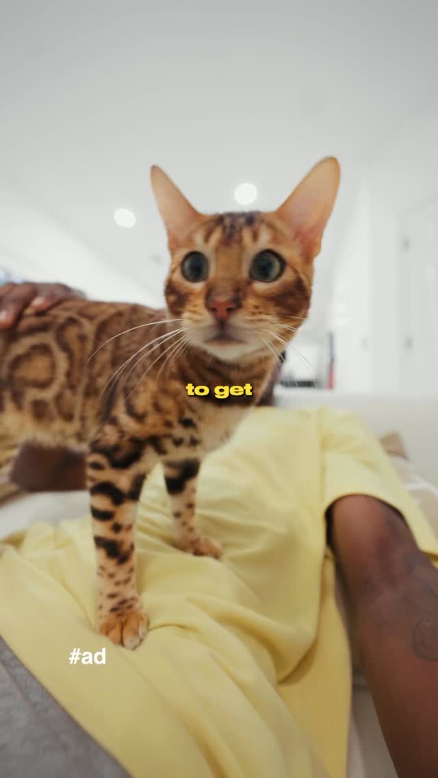 Instagram post by @tussalty for Purina ONE. Caption reads: #ad I’m ALREADY seeing visible differences in my....