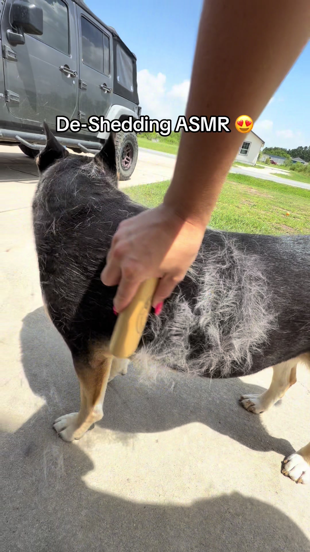 TikTok post by @steephanieeraee for SleekEZ. Caption reads: [...] No more clumps of hair in your house 🤩....