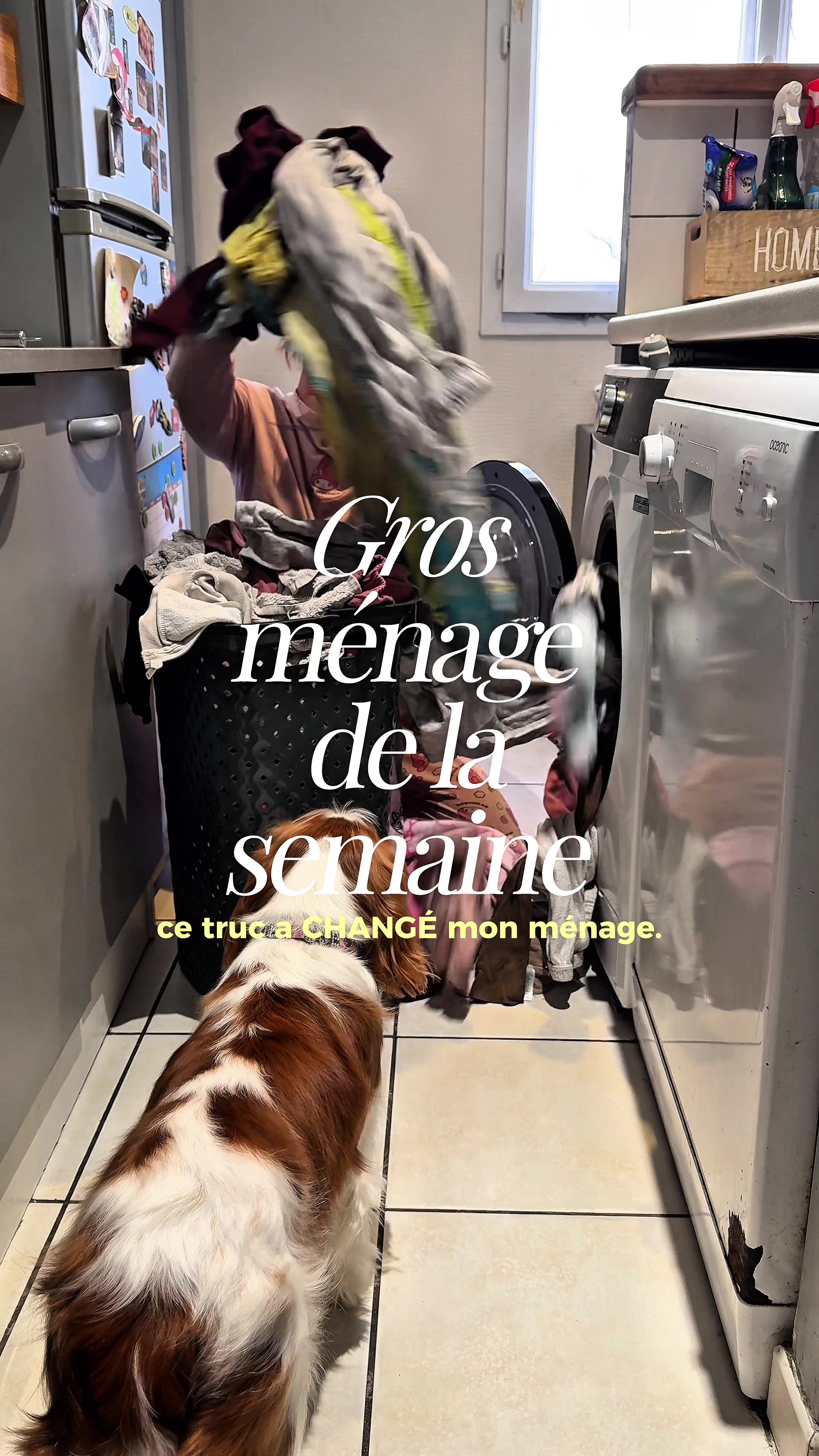 TikTok post by @mamaetceteraa for Levoit. Caption reads: [...] bien fou. Petit coup de pouce avec le....