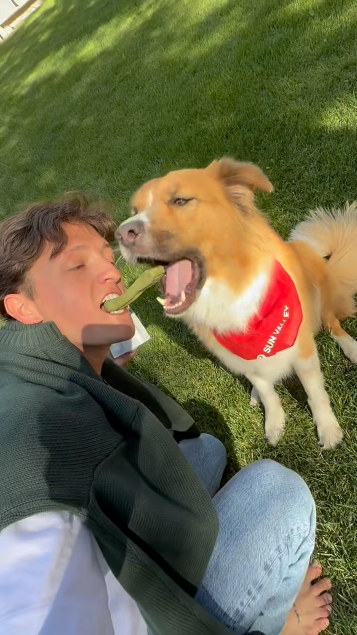 Instagram post by @fibula for Greenies. Caption reads: Max’s breath is a complex bouquet. Thanks for....