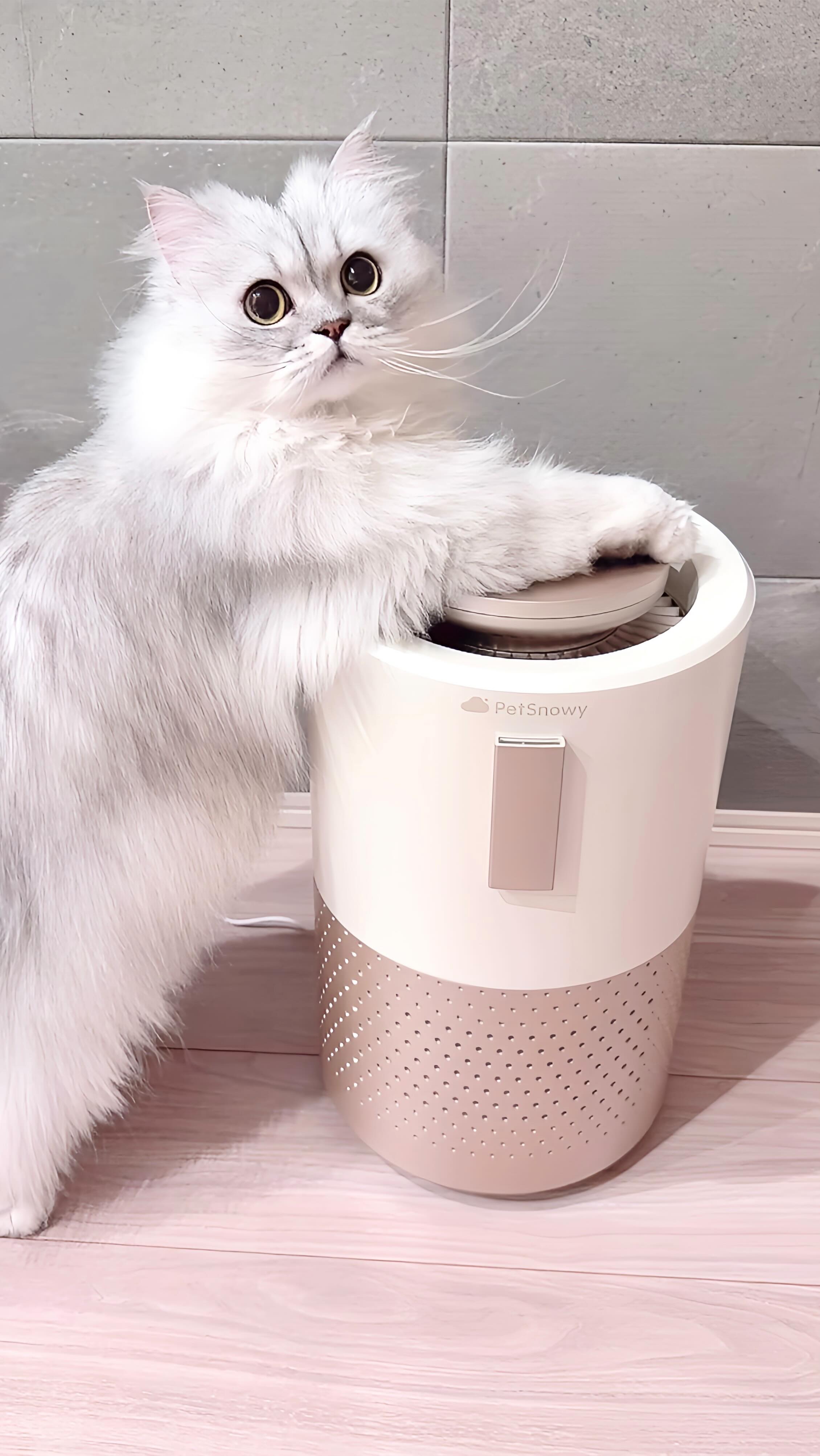 Instagram post by @_____l_u_c_a_____ for PetSnowy. Caption reads: [...] clean air!😽🩵𓈒𓏸‪‪🫧

✧
@petsnowy_jp [...].