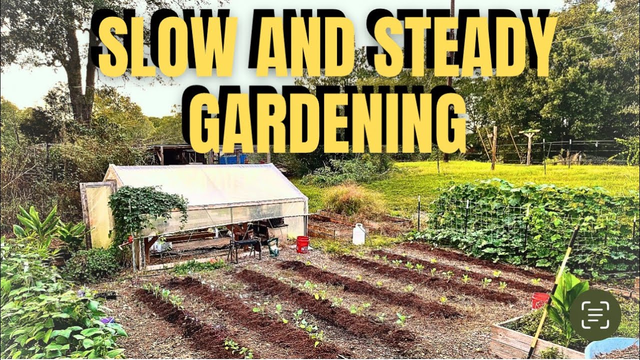 YouTube post by @saltydawghomestead for Farmers Defense. Caption reads: You Won't Believe This Fall Garden Transformation!.