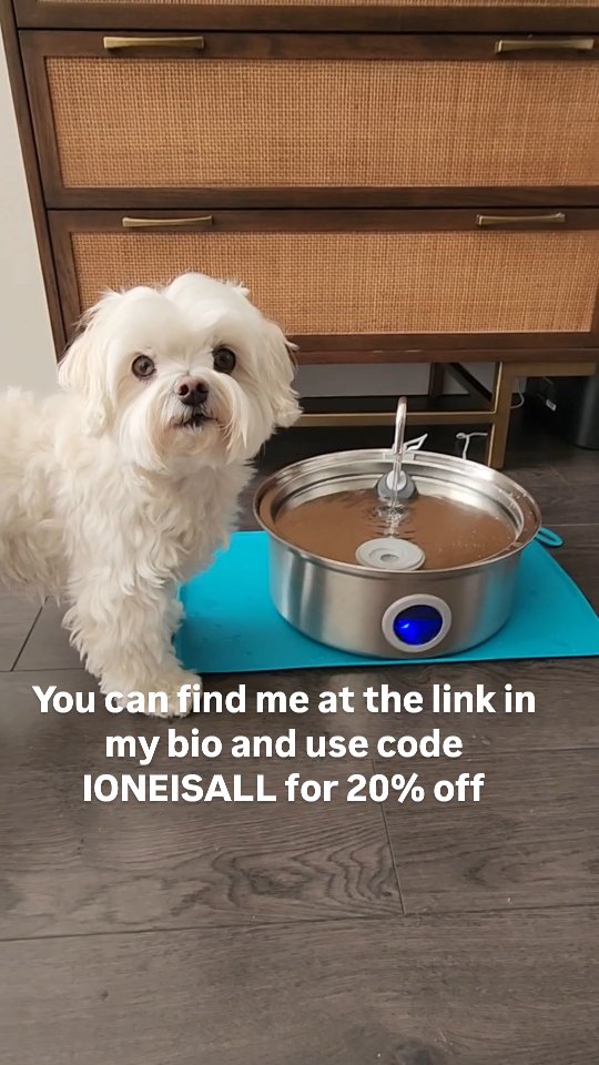 Instagram post by @toby_littledude for Oneisall. Caption reads: Say goodbye to dirty water with the....