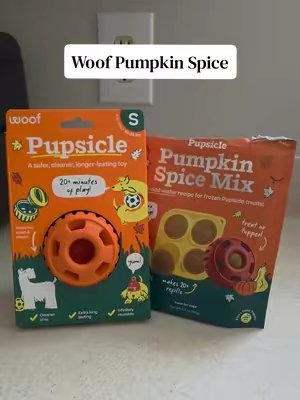 TikTok post by @reggieandfran for Woof Pet. Caption reads: [...] dog deserves to get in on the fun! @Woof Pet....