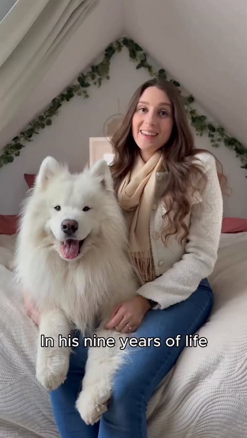 Instagram post by @wanderlust_samoyed for Tractive. Caption reads: [...] *Ad / Werbung 
Here’s an overview of....