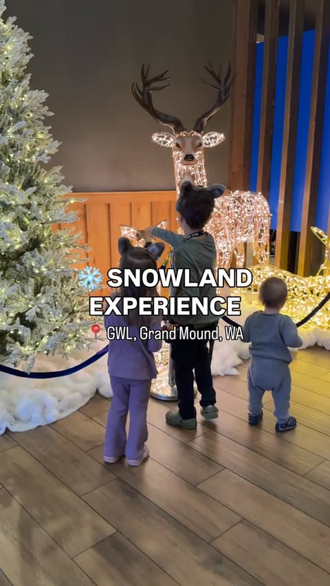 Instagram post by @pineconesandpacifiers for Great Wolf Lodge. Caption reads: This is your sign to book @greatwolflodge for....