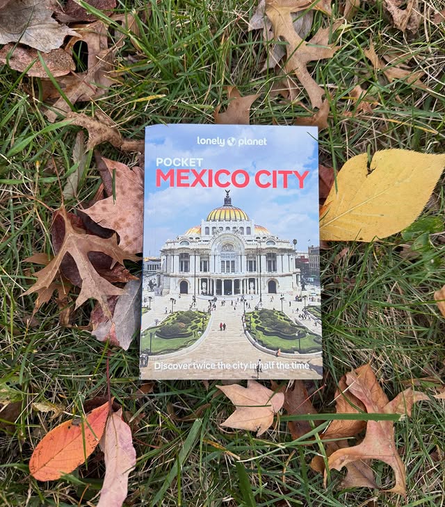 Instagram post by @leannreadsbooks for Lonely Planet. Caption reads: We love Lonely Planet travel guides in this house,....