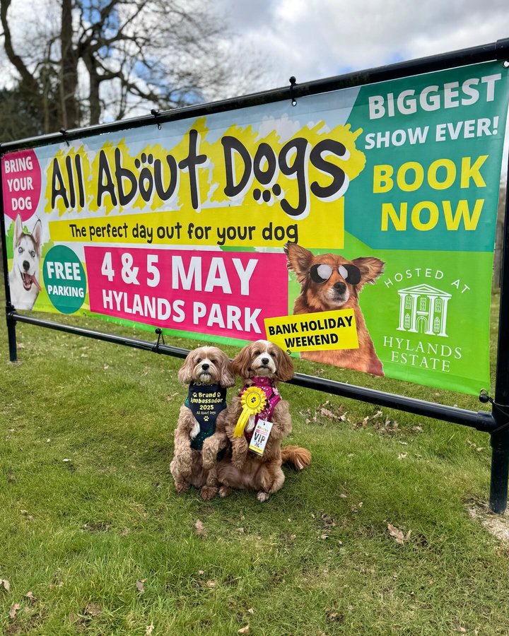 Instagram post by an influencer for All About Dogs Show. Caption reads: Just 1 month to go until @allaboutdogsshow arrives....