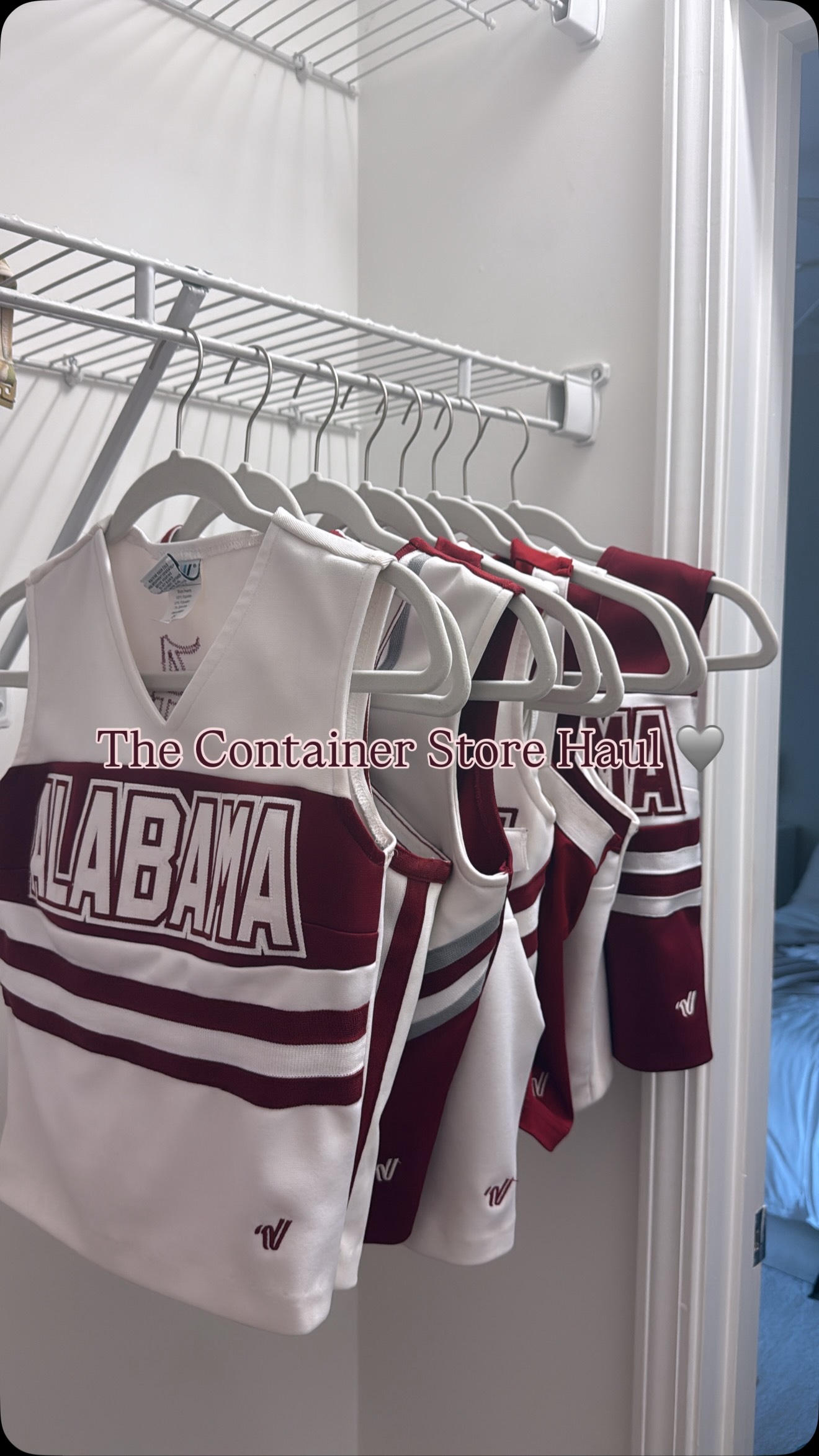 Instagram post by @lilygarofalo for The Container Store. Caption reads: The Container Store had what I didn’t know I....