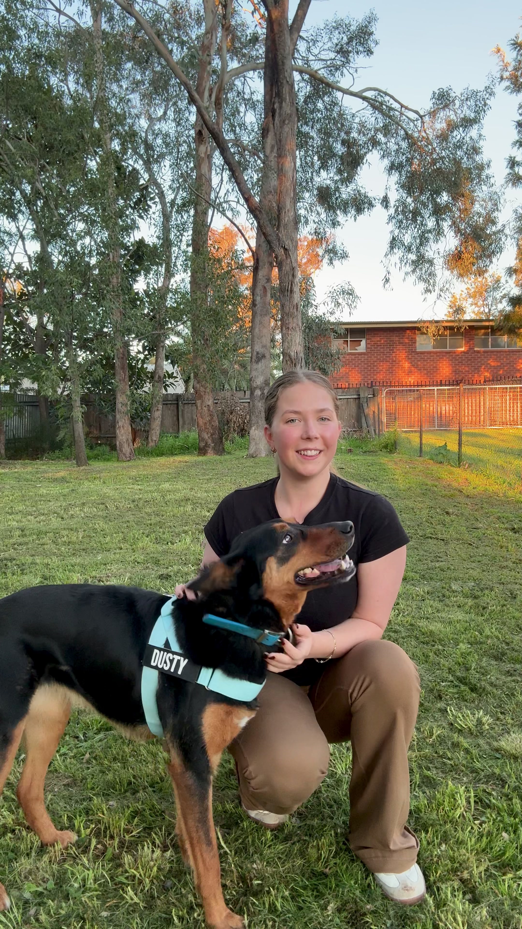 TikTok post by @alyssa.tribe for Dog Friendly Co. Caption reads: Link to the website is in my bio! @dogfriendlyco....