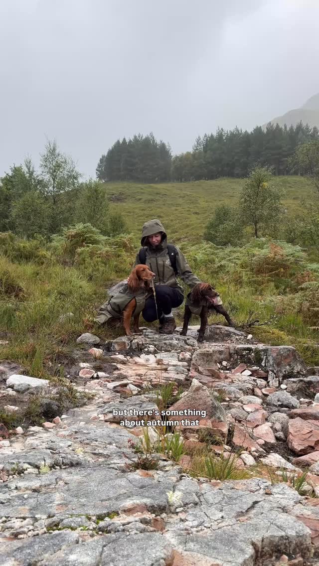 Instagram post by @theedinburghspaniels for RevolutionRace. Caption reads: Nothing motivates like spaniel energy🤭🌧️

I’ve....