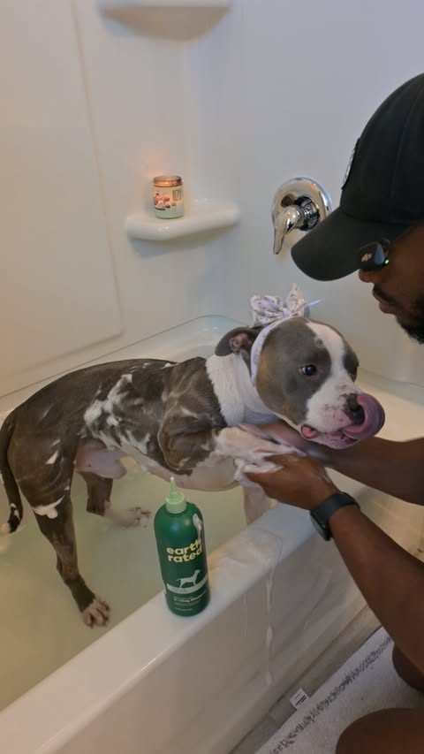 Instagram post by @jarellcarter for Earth Rated. Caption reads: [...] cleaned and relax okay 😂 If it ain’t....