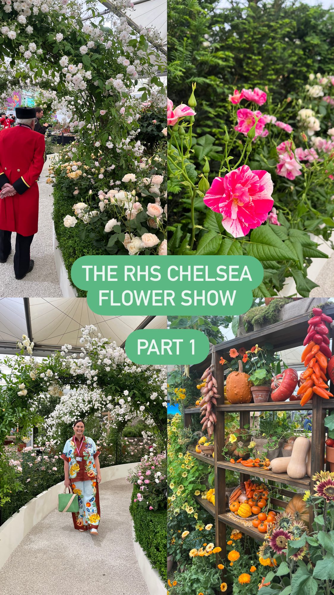 Instagram post by @new.house.home for Saatchi Gallery. Caption reads: Ad | Pr invite. Okay, I have soooo much footage &....