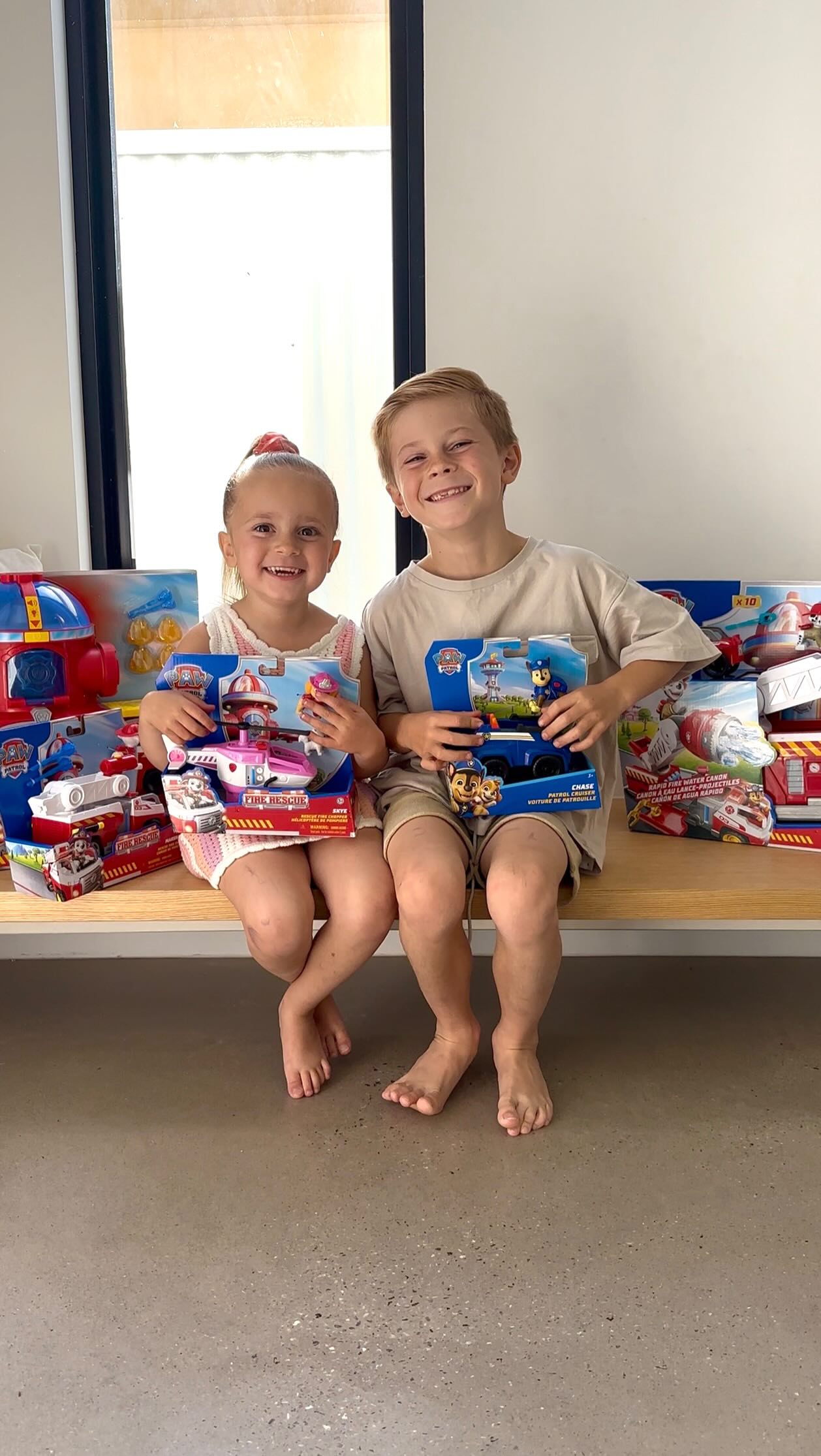 Instagram post by @hayleyberlingeri for PAW Patrol. Caption reads: So much PAWsome fun with the new PAW Patrol toy....