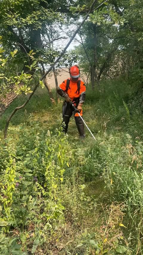 Instagram post by @dustylumberco for STIHL. Caption reads: Knocking down the tall head with the @stihlcanada....