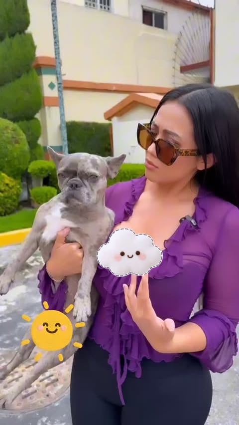Instagram post by @fergievargasoficial for Temu. Caption reads: TEMU es mi mejor aliado 🛍️ [...].