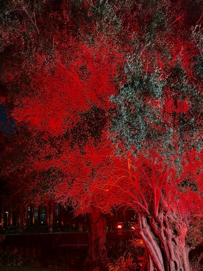 Instagram post by @ohh_etchetera for Cartier. Caption reads: My visit to the Cartier Pop-Up was a celebration....