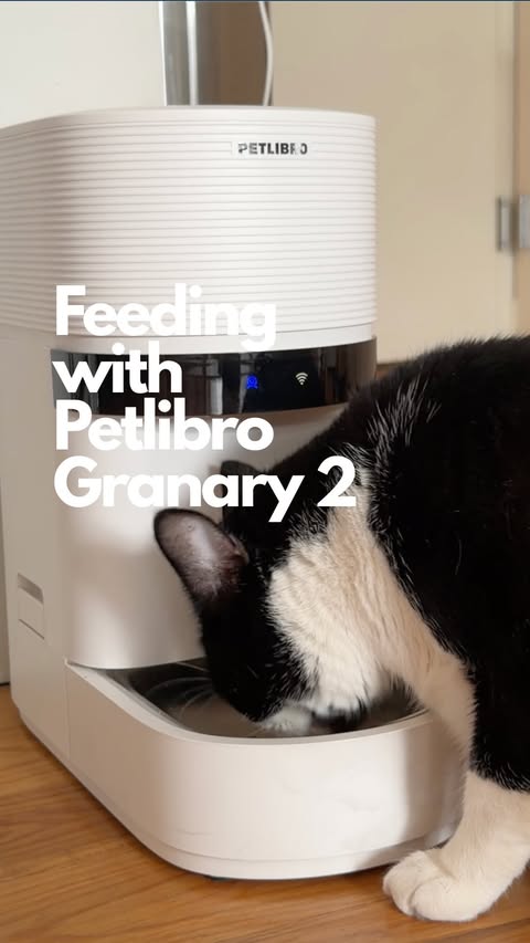 Instagram post by @girlsandtheircats for PETLIBRO. Caption reads: @petlibro collaborated with us to share how the....