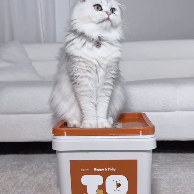 Instagram post by @paulashome29 for Happy & Polly. Caption reads: We are testing the new natural cat litter from....